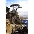 thumbnail image 1 of Lone Cypress 1, Scenic Unframed Photographic Print Wall Art by Alan Hausenflock Sold by Art.Com, 1 of 4