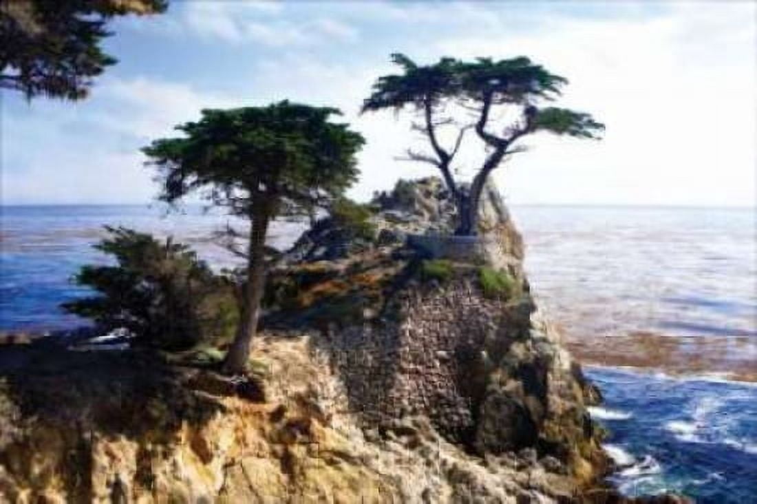 Lone Cypress II Canvas Art - Alan Hausenflock (24 x 36)
