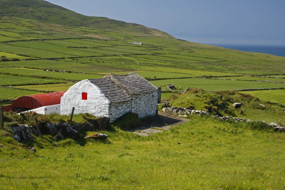 Lone Farmhouse On Mizen Head In West Cork County Cork Ireland Canvas Art - Trish Punch Design Pics (38 x 24)
