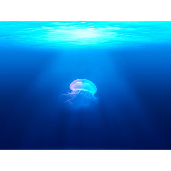 Lone Jellyfish Blue Water Large Wall Art Print