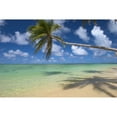 thumbnail image 1 of Lone Palm Tree Leaning Over Beach With Shadow, Dramatic Sky, Turquoise Ocean Poster Print (34 x 22), 1 of 3