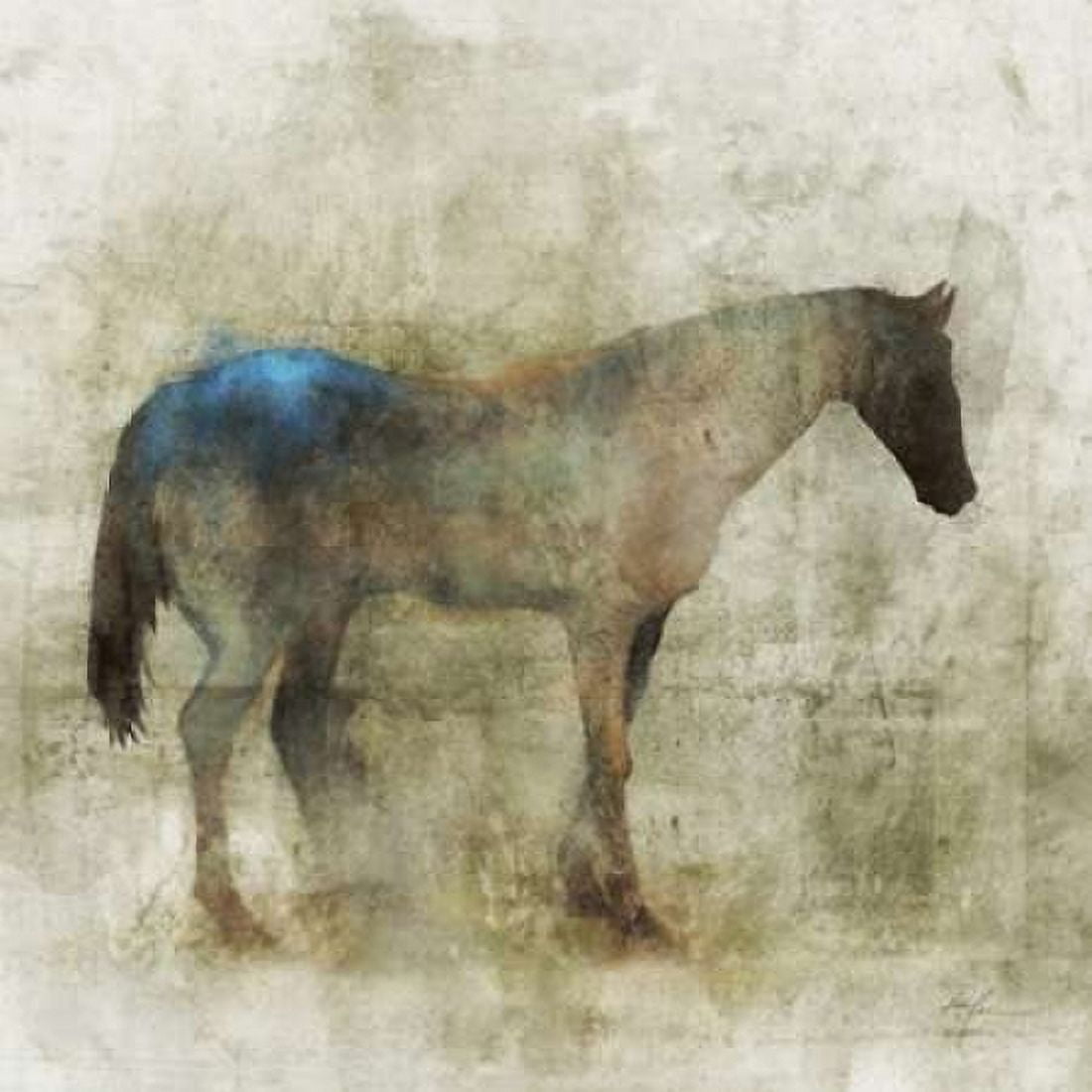 Lone Star 1 Canvas Art - Ken Roko (24 x 24)