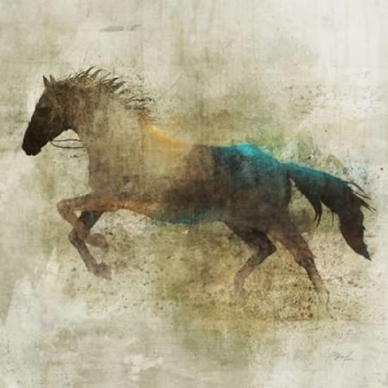 Lone Star 2 Canvas Art - Ken Roko (24 x 24)