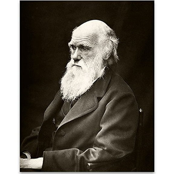 Lone Star Art Charles Darwin Portrait - 11x14 Unframed Print - Great Vintage Science Room Decor