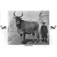 thumbnail image 1 of Lone Star - Largest Cow In The World - Texas Poster Print By Mary Evans Grenville Collins Postcard Collection, 1 of 3