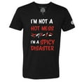thumbnail image 1 of Lone Star Roots - I'm Not a Hot Mess I'm a Spicy Disaster V-Neck T-Shirt, 1 of 6