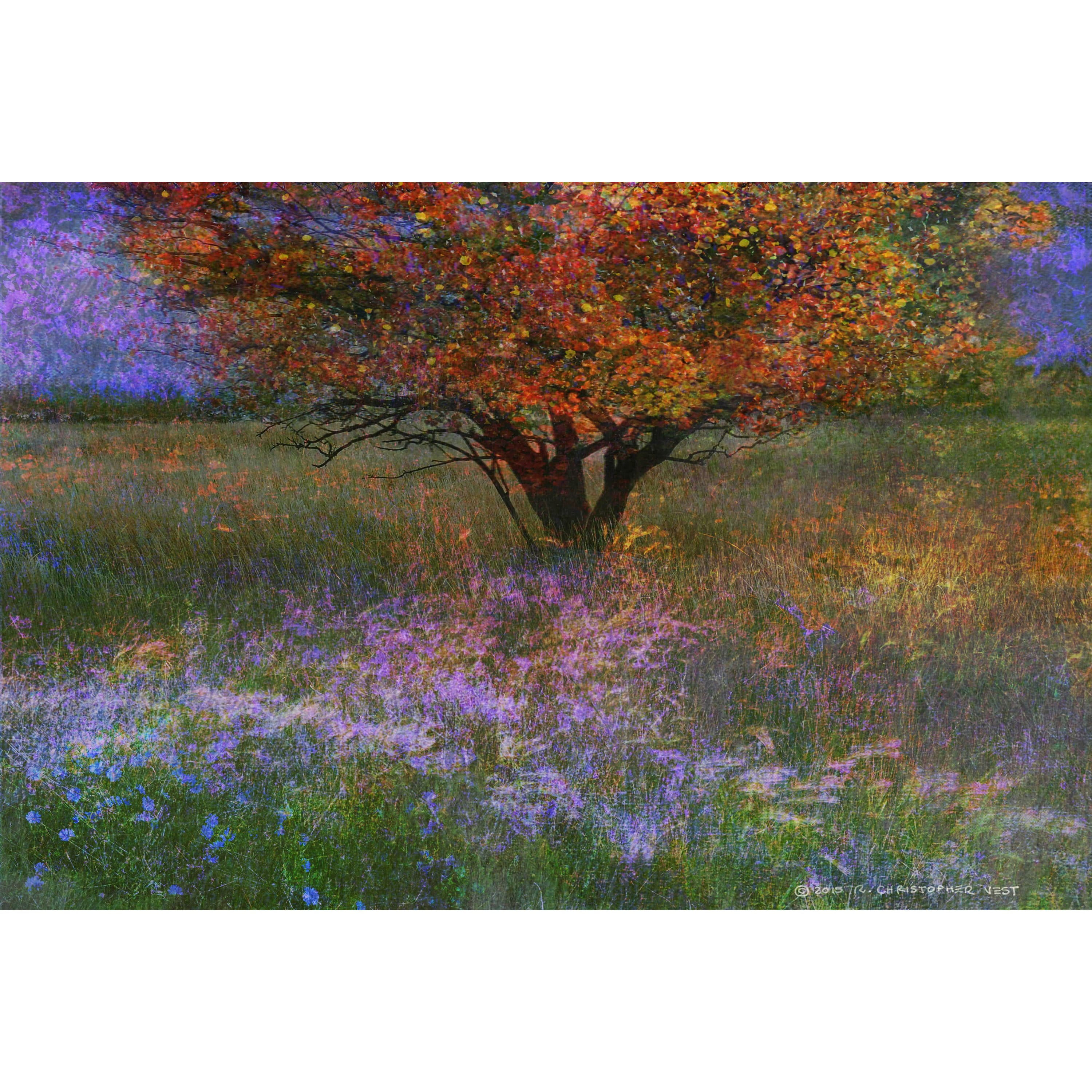 "Lone Tree Flowered Meadow" by Chris Vest Painting Print on Wrapped Canvas