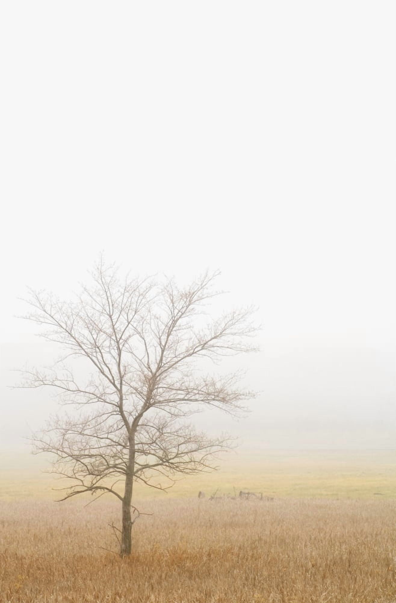 Lone Tree In A Wheat Field Canvas Art - Chris and Kate Knorr Design Pics (12 x 18)