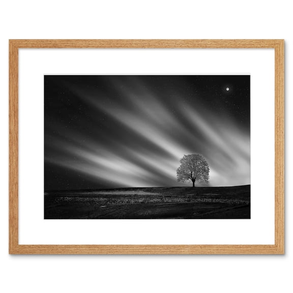 Lone Tree Landscape Aurora Black White Framed Wall Art Print