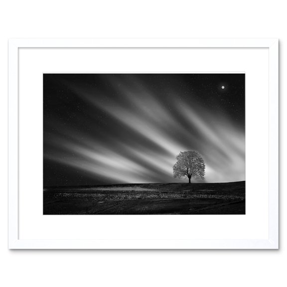 Lone Tree Landscape Aurora Black White Framed Wall Art Print
