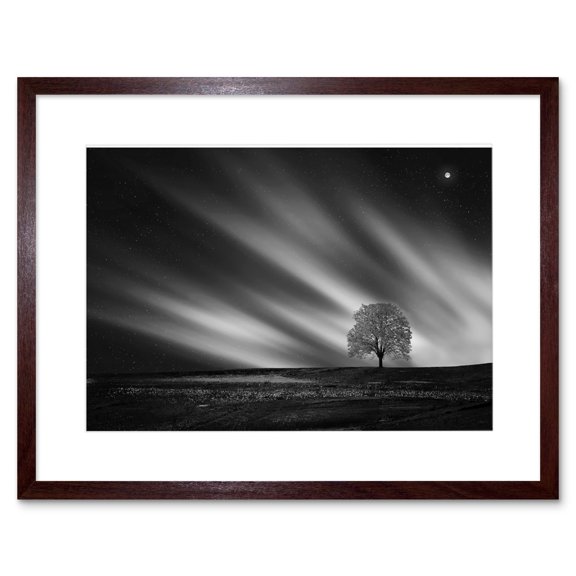 Lone Tree Landscape Aurora Black White Framed Wall Art Print