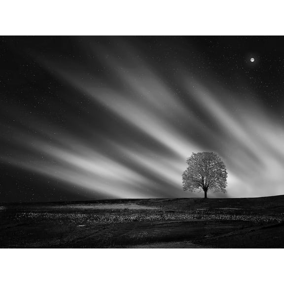 Lone Tree Landscape Aurora Black White Large Wall Art Print