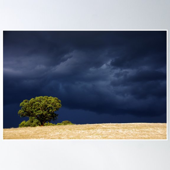 Lone Tree Poster Wall Art, Modern Wall Decor, 8x12 UNFRAMED