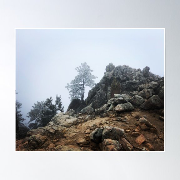 Lone Tree Poster Wall Art, Modern Wall Decor, 8x12 UNFRAMED