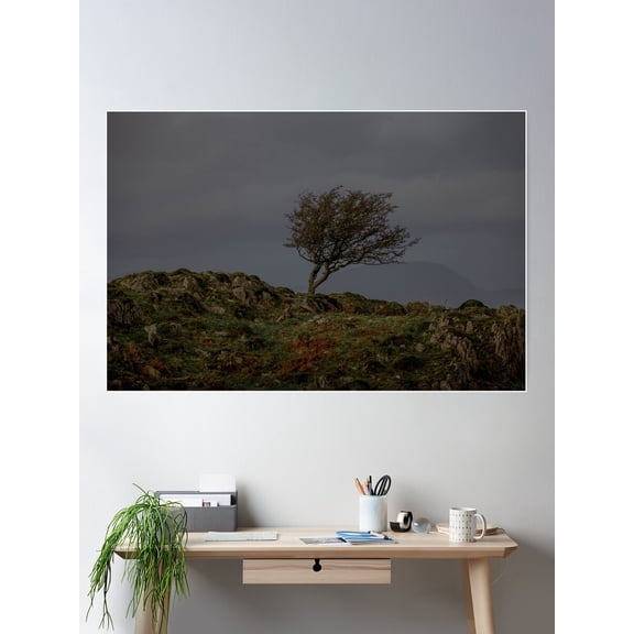 Lone Tree Poster Wall Art, Modern Wall Decor For Living Room Bedroom, 8x12 UNFRAMED