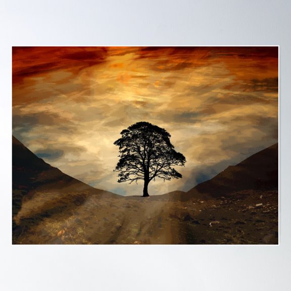Lone Tree Sycamore Gap Hadrian'S Wall Northumberland Poster Wall Art, Modern Wall Decor For Living Room Bedroom, 8x12 UNFRAMED