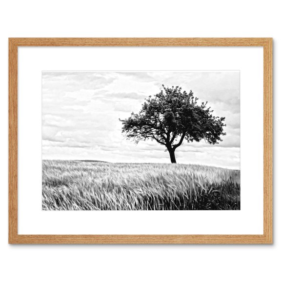 Lone Tree Wheat Field Black White Framed Wall Art Print