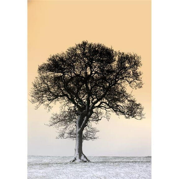Lone Tree in Field Poster Print - 12 x 17