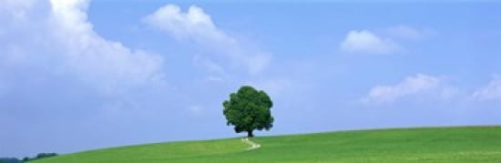 Lone Tree on Hilltop Salzkammergut Austria Canvas Art - Panoramic Images (36 x 12)