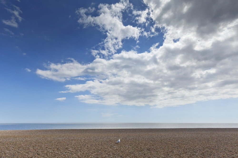 Lone bird on an empty beach with blue sky and cloud over the ocean Aldeburgh Suffolk England Canvas Art - Terence Waeland Design Pics (19 x 12)
