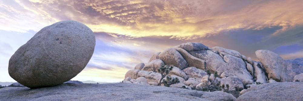 Lone boulder in desert at sunrise Joshua Tree National Park California USA Canvas Art - Panoramic Images (36 x 12)