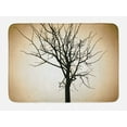 thumbnail image 1 of Lonely Tree Bath Mat, Woodland Element Barren Tree Design on Bokeh Style Background Ombre Effect, Plush Bathroom Decor Mat with Non Slip Backing, 29.5" X 17.5", Beige and Black, by Ambesonne, 1 of 2