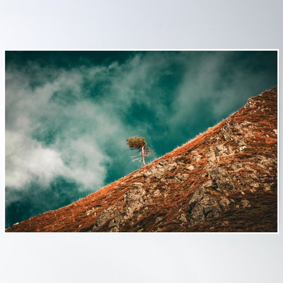 Lonely Tree Poster Wall Art, Modern Wall Decor, 8x12 UNFRAMED