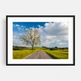 thumbnail image 1 of Lonely Tree, Spring Grove - Pennsylvania Photography Black Framed Wall Art Print 12 x 18 inches, 1 of 4