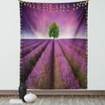 thumbnail image 1 of Lonely Tree Tapestry, Purple Toned Field with Spring Season Colors and a Tree in the Background, Wall Hanging for Bedroom Living Room Dorm Decor, 60W X 80L Inches, Purple and Green, by Ambesonne, 1 of 2