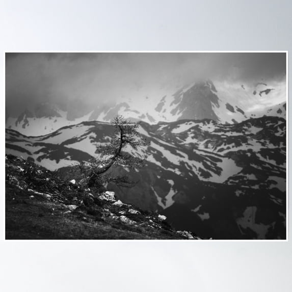 Lonely Tree With Stunning View On Mountains Poster Wall Art, Modern Wall Decor, 24x36 UNFRAMED
