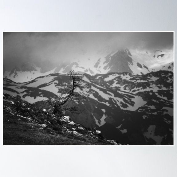 Lonely Tree With Stunning View On Mountains Poster Wall Art, Modern Wall Decor, 24x36 UNFRAMED