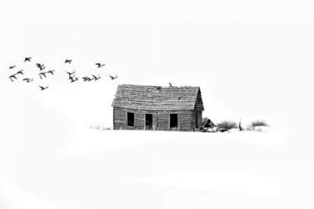 Lonesome But Peaceful II Canvas Art - Ramona Murdock (24 x 36)