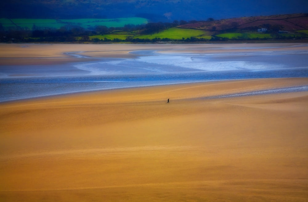 Lonesome Man walking on sand beach Portmeirion - location for the 1960s cult film The Prisoner Gwynedd North Wales Canvas Art - Panoramic Images (18 x 12)
