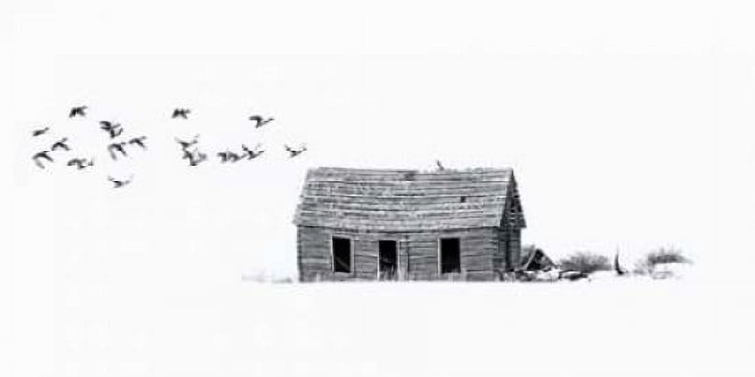 Lonesome but Peaceful Canvas Art - Ramona Murdock (24 x 48)