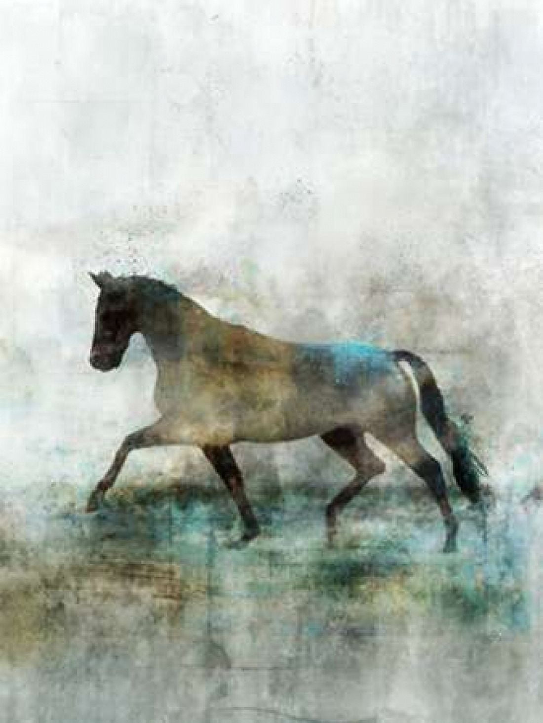 Lonestar 1 Canvas Art - Ken Roko (22 x 28)