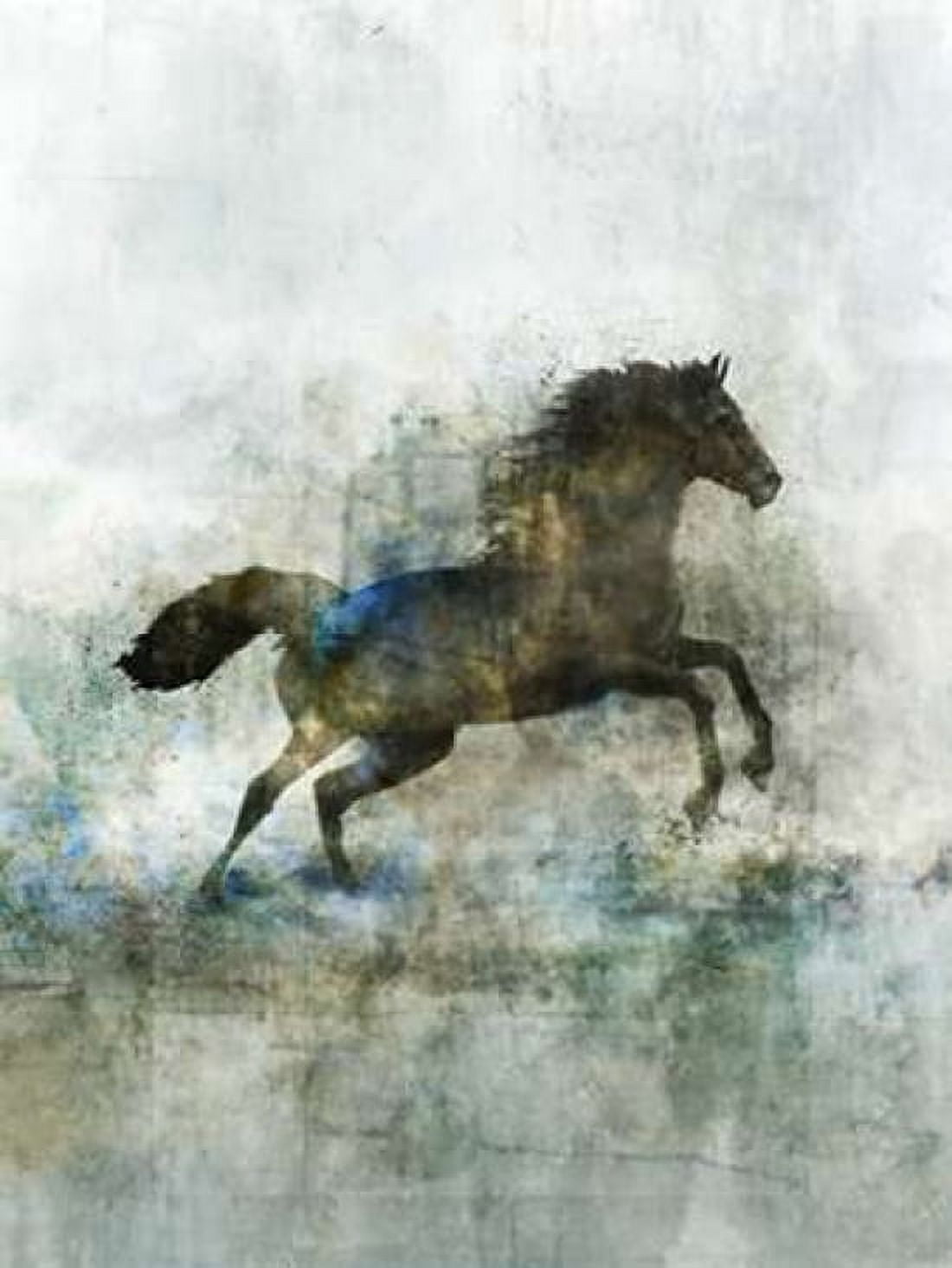 Lonestar 2 Canvas Art - Ken Roko (22 x 28)