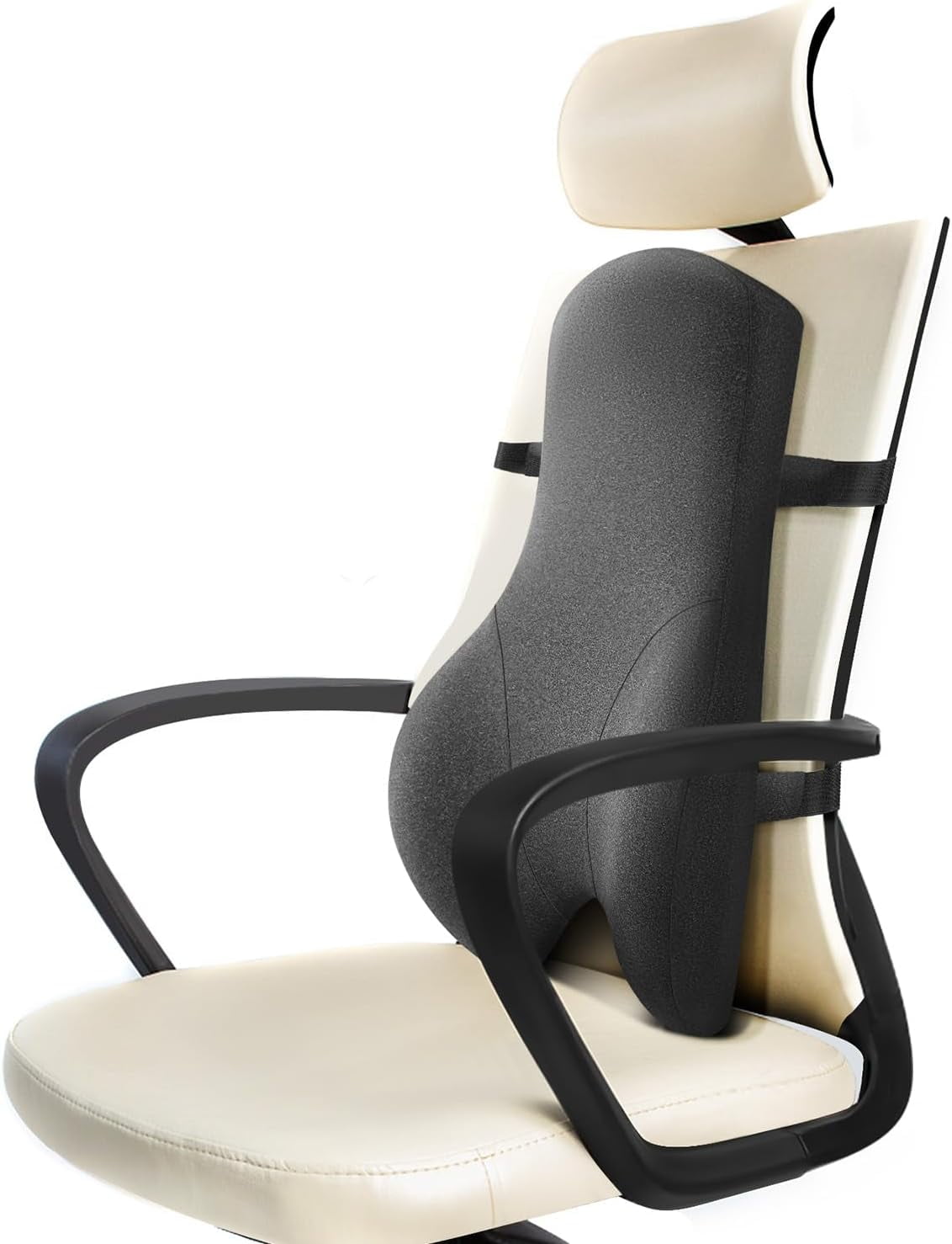 Long Back Support for Office Chair Fully Support Entire Back for