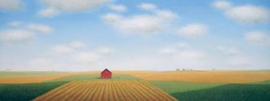 Long Barn Field Canvas Art - Sharon France (10 x 20)