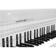 Long Beach Music Practice Keyboard Chart, 3-D Full-Sized, 88 Keys and Notes, 2-Sided, 48 Long