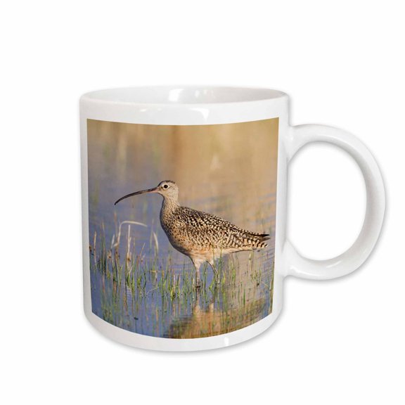 3drose, Long-billed Curlew, 15oz Mug