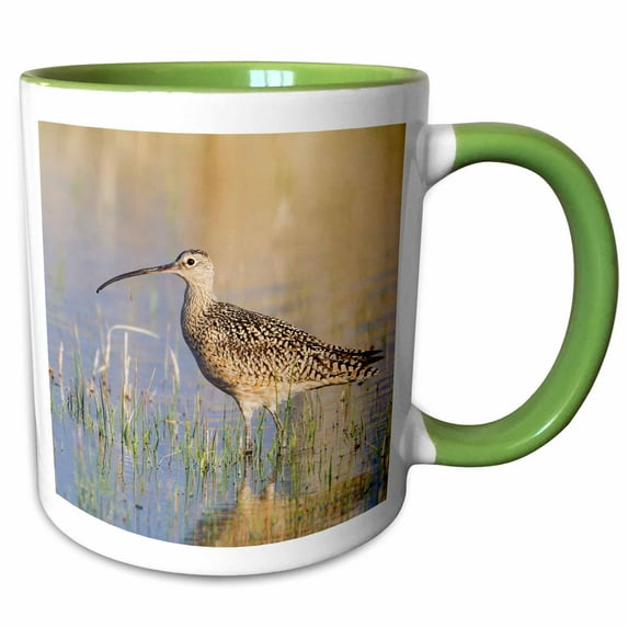 3drose, Long-billed Curlew, 15oz Two-tone Green Mug