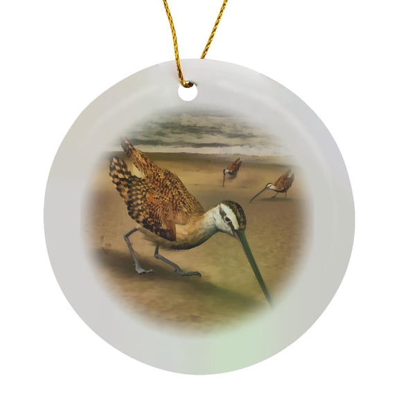 3drose, Long - Billed Curlew Birds on a Beach, Circle Porcelain Ornament