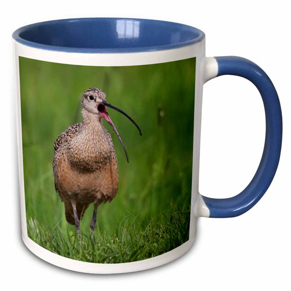 3drose, Long Billed Curlew, Calling, 11oz Two-tone Blue Mug