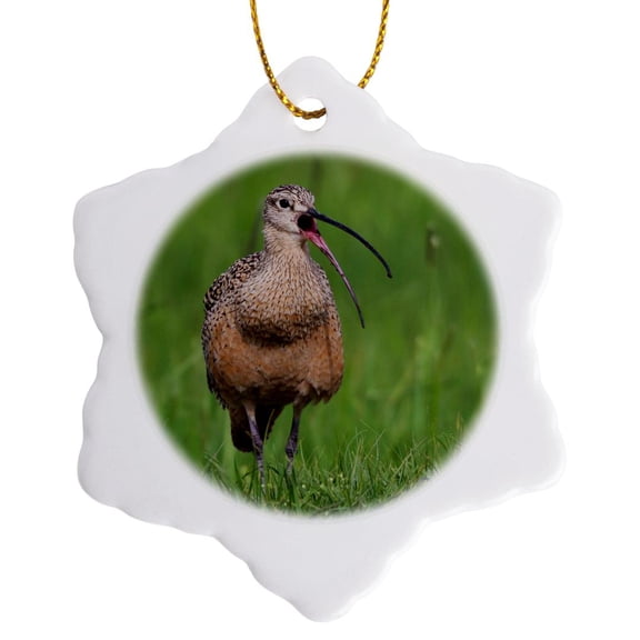 3drose, Long Billed Curlew, Calling, 3 inch Snowflake Porcelain Ornament
