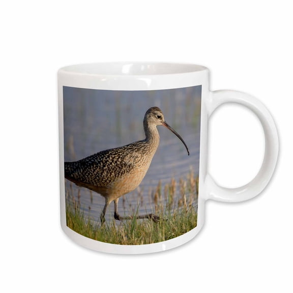 3drose, Long-billed Curlew Foraging, 11oz Mug