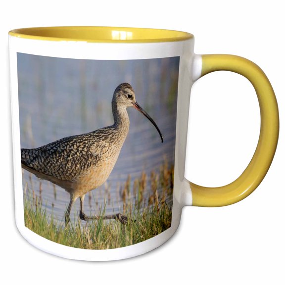 Long-Billed Curlew Foraging, 15oz Two-Tone Yellow Mug