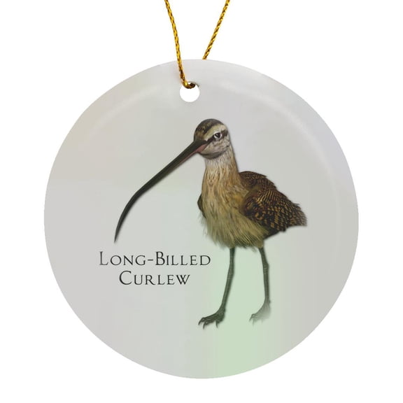 Long-Billed Curlew Shorebird, Circle Porcelain Ornament