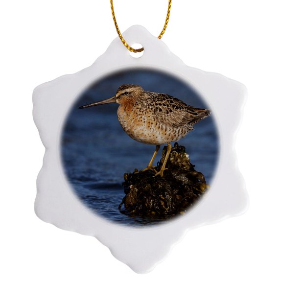3drose, Long-billed Dowitcher, 3 inch Snowflake Porcelain Ornament