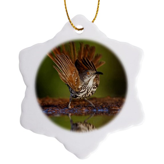 3drose, Long-billed Thrasher Bird Drinking, South Texas, Usa - Us44 Ldi0628 - Larry Ditto, 3 inch Snowflake Porcelain Ornament