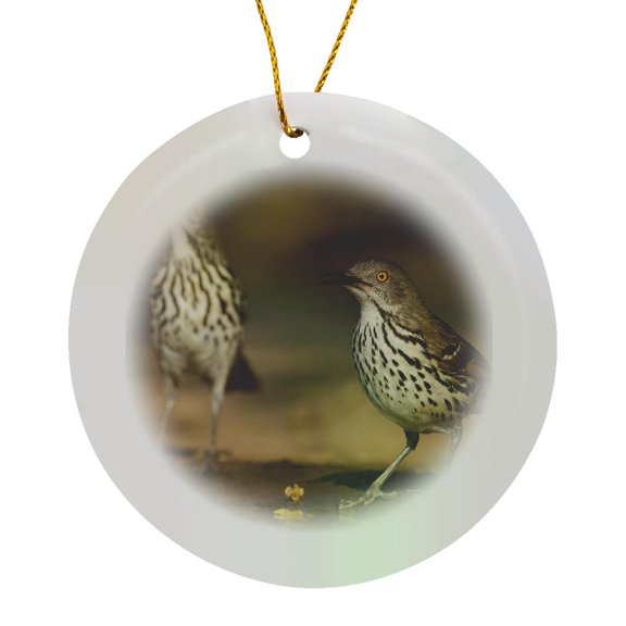 3drose, Long-billed Thrasher Bird Drinking, Texas, Usa - Us44 Ldi0971 - Larry Ditto, Circle Porcelain Ornament